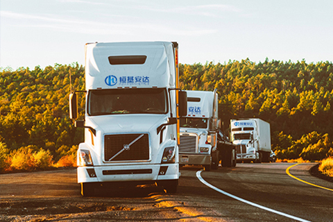 1763005525344270.jpg 1730097241308242.jpg